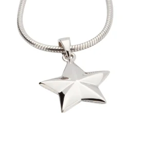 Ashanger Ster – Zilver klein