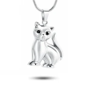 Dieren assieraad kat