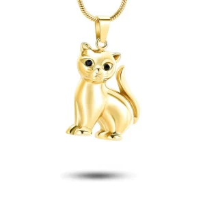 Dieren Assieraad Kat