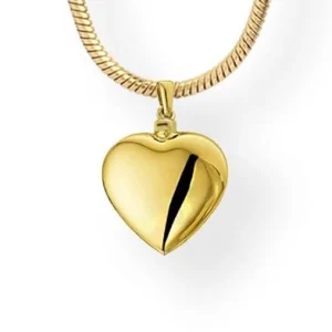 Gouden Ashanger Hart Groot