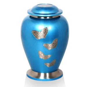 Grote Urn Vlinders hemelsblauw