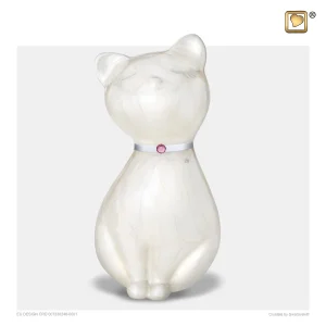 Kat poes exclusief wit