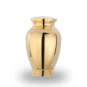 Mini edelstalen urn