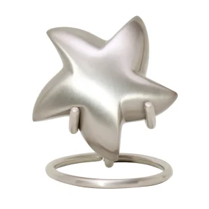 Mini urn ster zilverkleurig