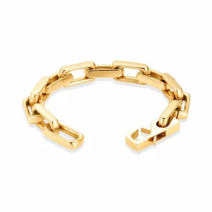RVS vergulde designers asarmband heren
