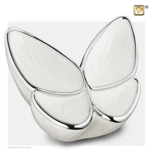 Witte vlinder urn groot